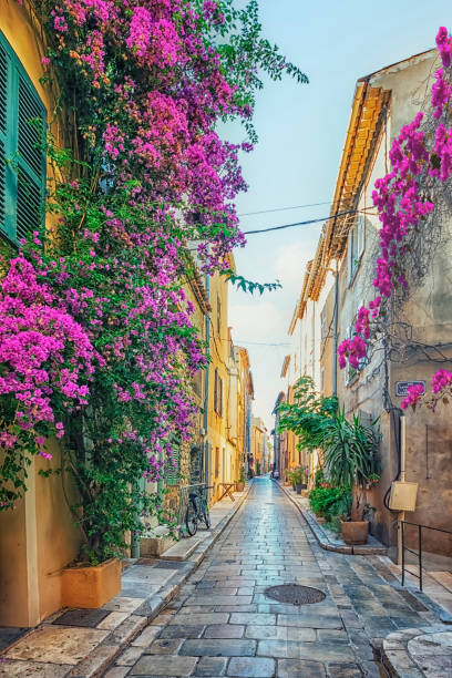 Saint-Tropez village on the French Riviera